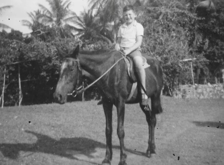 On Banqueter, the old horse he rode at his grandfather's place in Jamaica